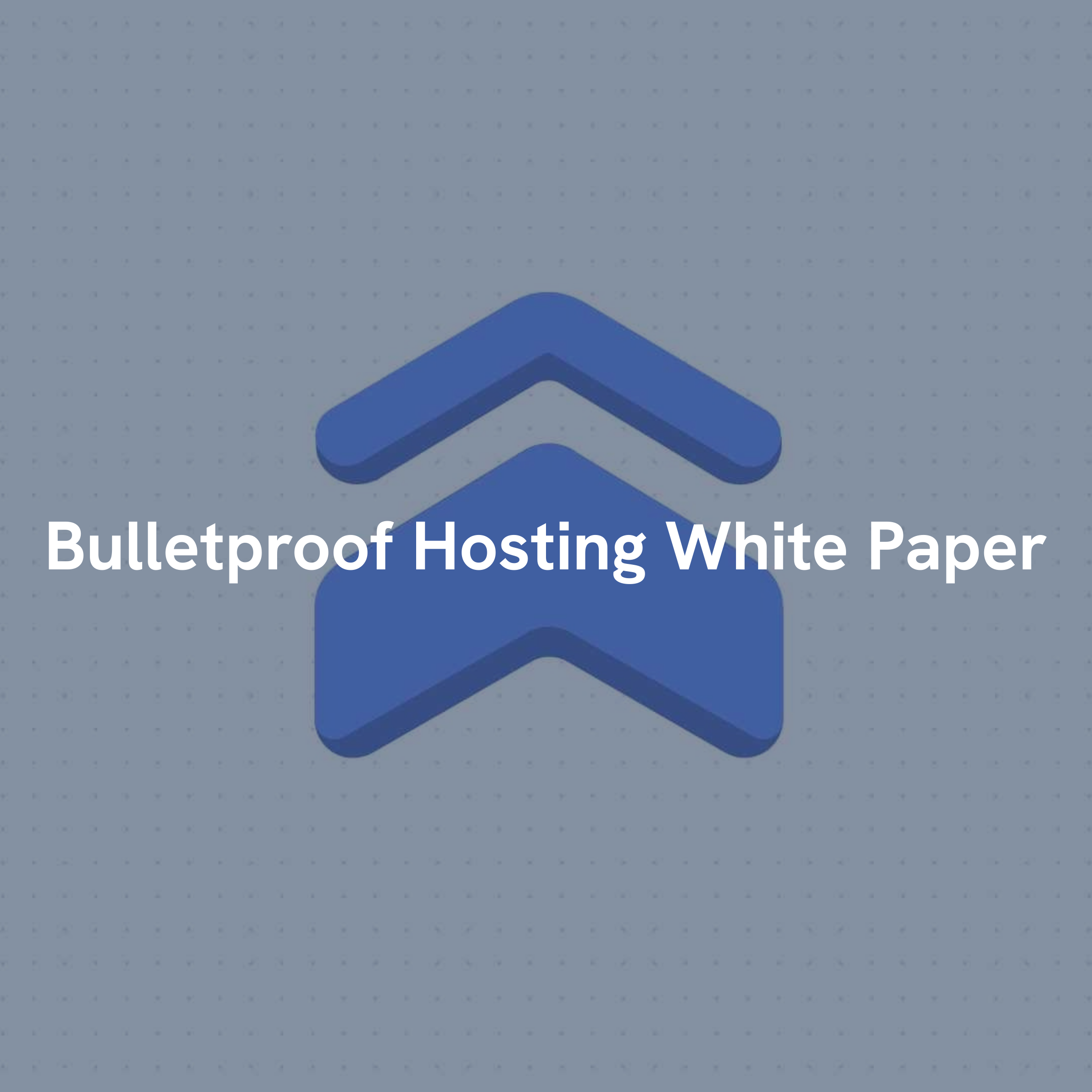 Bulletproof Hosting White Paper